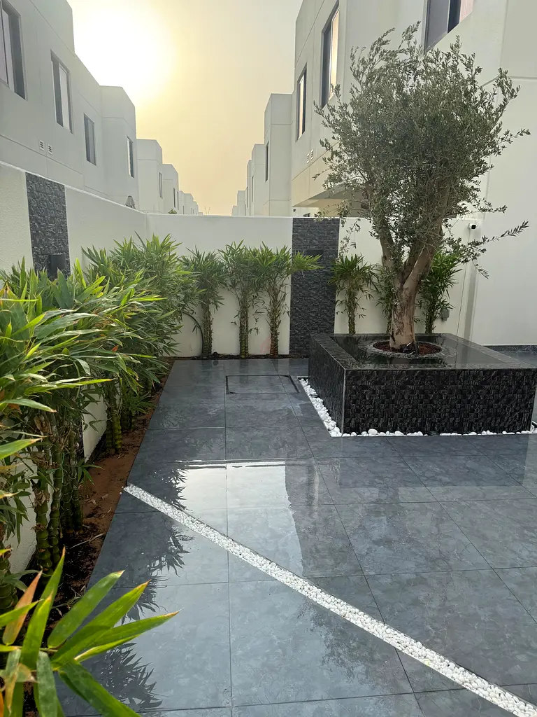 DPV_View_Image_8
