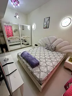 Furnished room available with attached washroom for single executive person