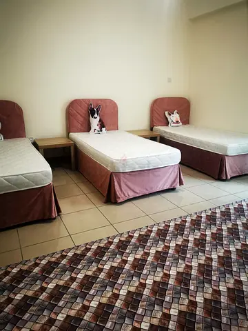 Three Single Beds with Mattresses and Headboards - Good Condition
