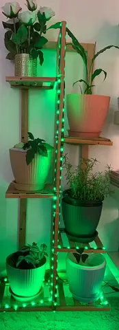 Wooden Corner Plant Stand with 6 Shelves — Vertical Garden Rack
