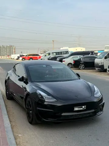 （Lady Car）2023 Tesla Model 3 Long Range - American Specs