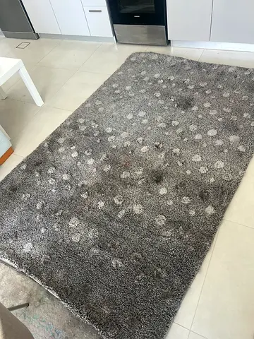 Gray shaggy rug with subtle polka dot pattern, good condition