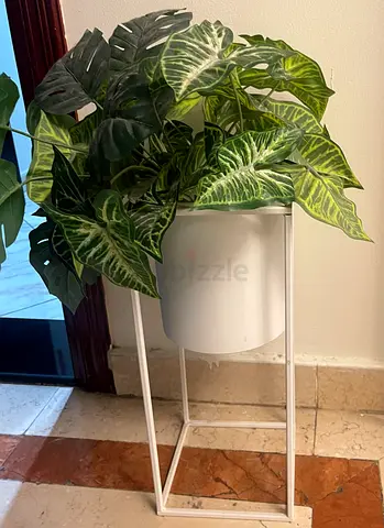 Potted Tropical Plant Decor