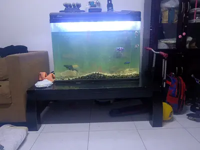 Full set - Fish tank / Motor / Light / oxygen tube / Filtration system /