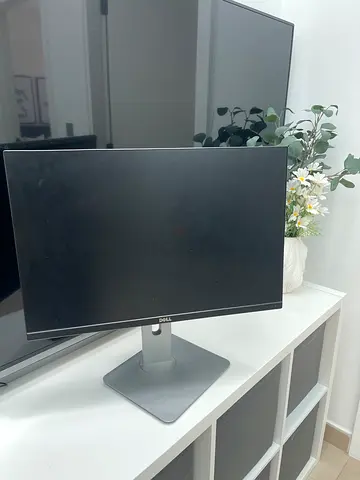 Dell Ultrasharp U2415 24 inch monitor