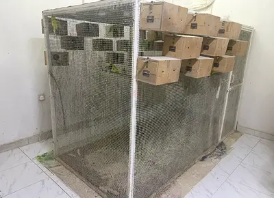 Big Cage for sale