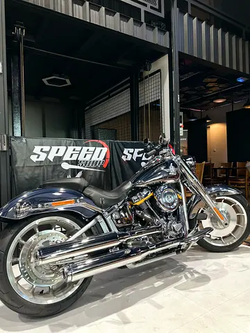 2025 Gray Ghost Fat Boy