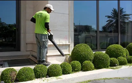 Professional villa maintenance services available.