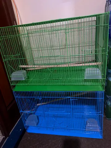 Two new big cage