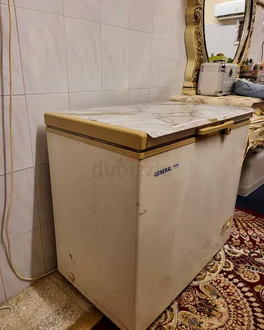 Geneal Line 250Liters Freezer