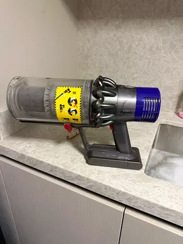 Dyson v10  body
