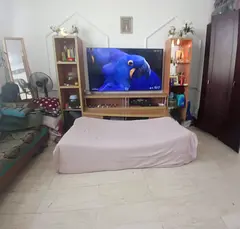 HALL FURNISHED-DEFENCE STREET, ABU DHABI FAMILY, COUPLES- 1 JULY TO 31 AUG, immediately availabile