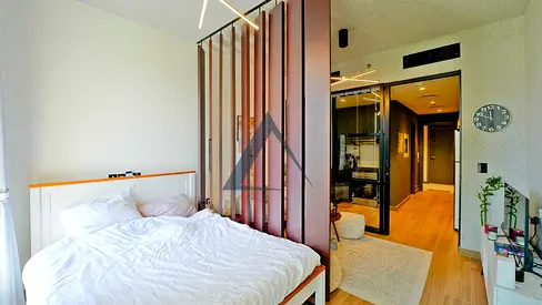 Furnished Studio | Modern Finishing | Vacant