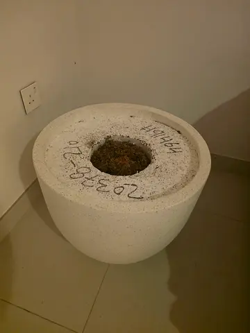 Large white planter pot