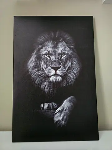 Black and White Lion Canvas Wall Art Frame
