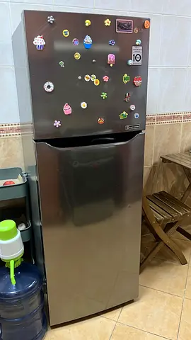 Refrigerator LG 302