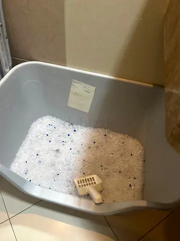 Large and tall cat litter tray with scoop, lightly used
