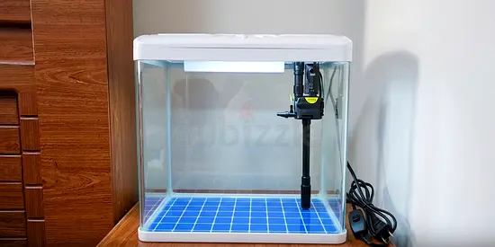 Compact Glass Aquarium with Filter and LED Light