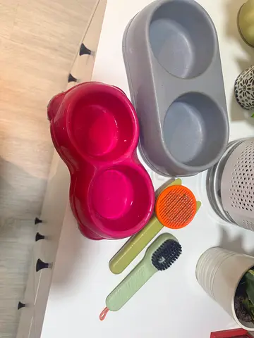 Free Cat bowls and brush