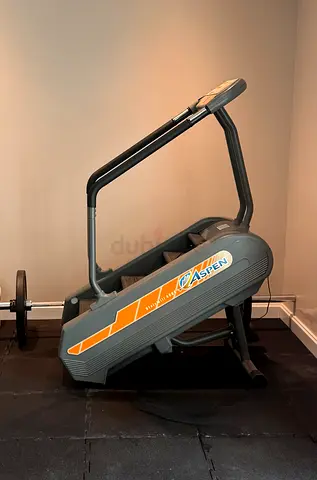 Aspen Stairmill 4000