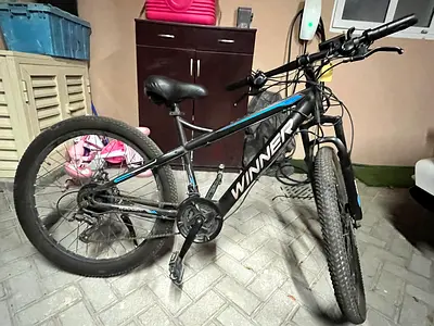 Sky winner e bike