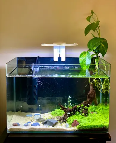 45 x30 x28 cm Complete Aquarium tank Setup  Filter multicolour Light   Natural rocks hard