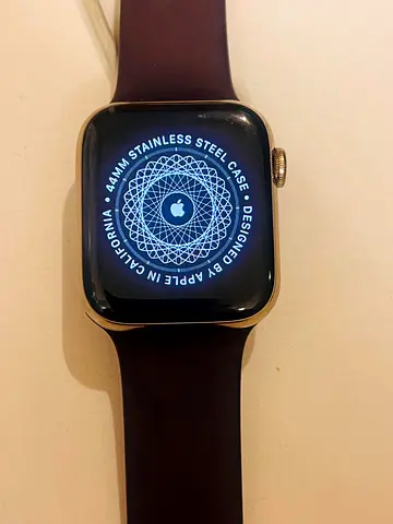 Apple Watch 44mm Stainless Steel Case
