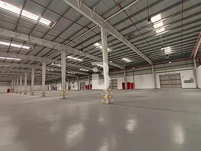 JAFZA Warehouse | 65,224 Sq Ft | 13.1m Height | Racking
