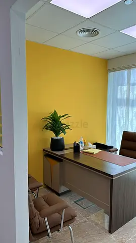 Simple Wooden Office Desk with Chair and Plant