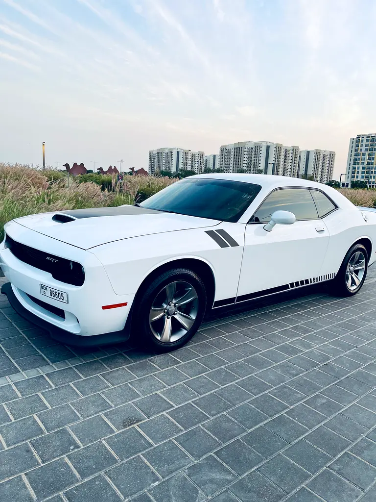 Dodge Challenger 2019 — photo 1 of 4