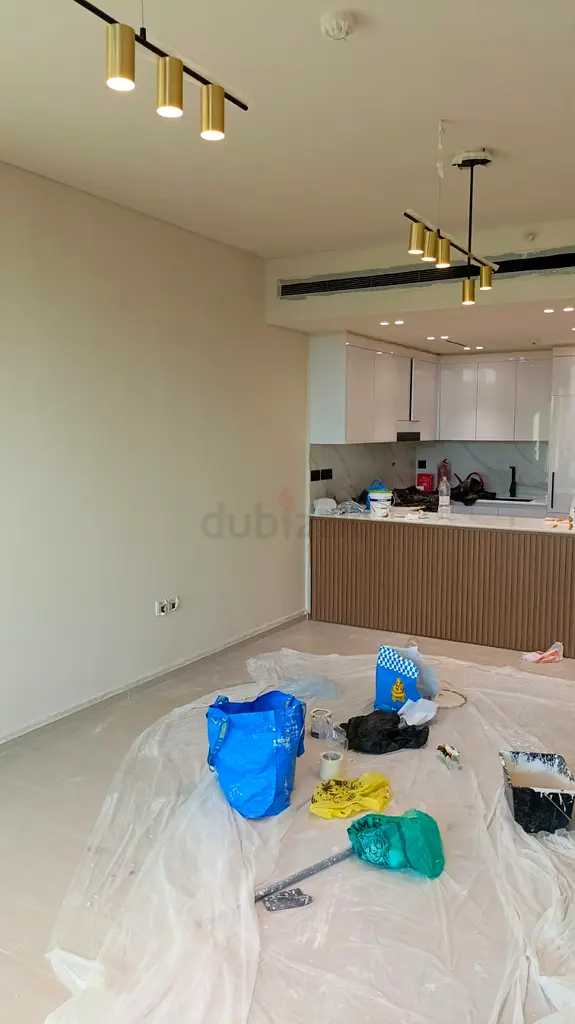 DPV_View_Image_0
