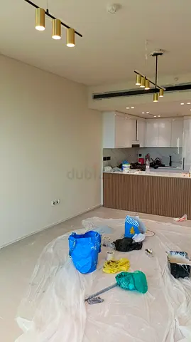 PProfessional Painter Services in Dubai | Villa, Apartment  Office Painting