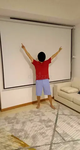 Projector Screen/Window Blinds