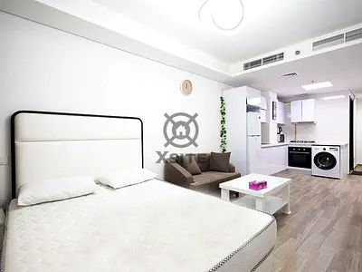 Fully furnished |Cozy Studio |Ready to Move