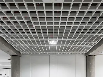 Grid Ceiling
