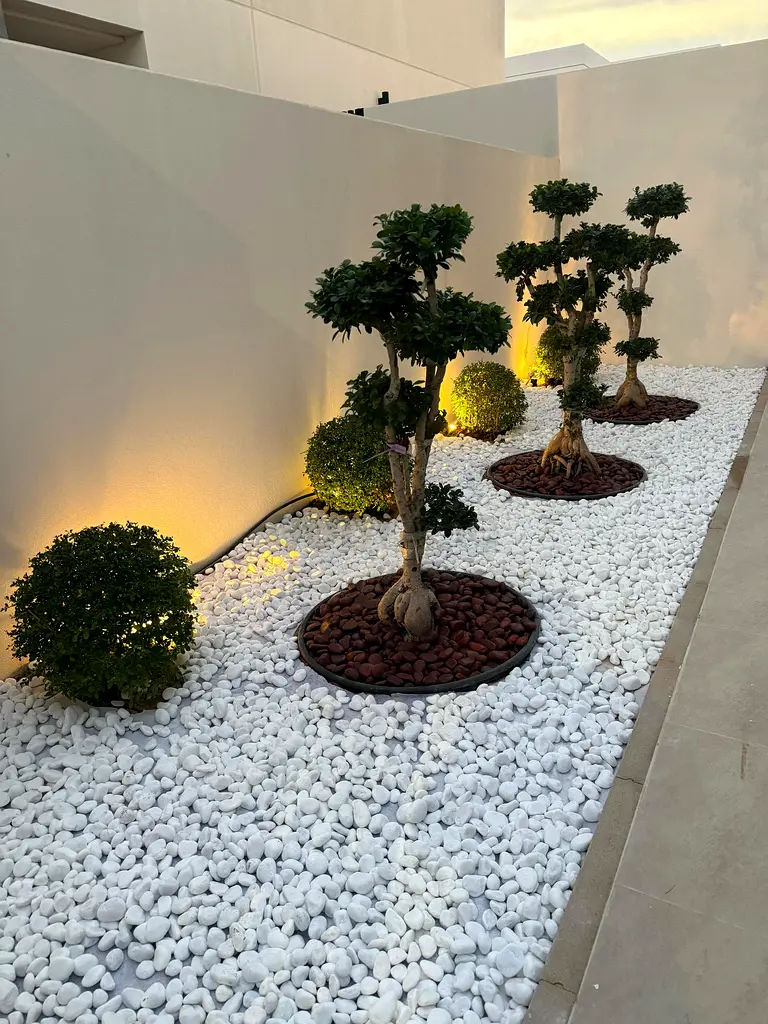 DPV_View_Image_3