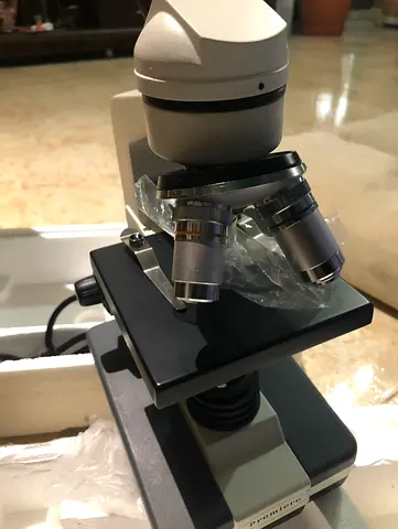 Compound Microscope