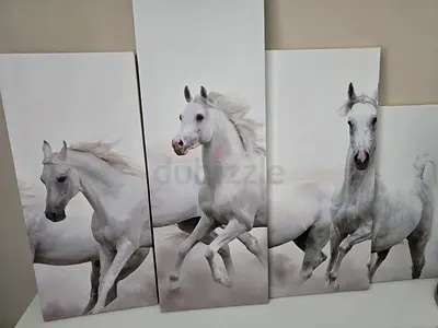 5 Pieces Canvas Art Arabian Horses Painting