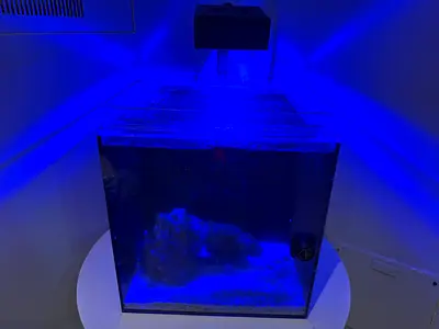 Compact Nano waterbox Saltwater Aquarium with RED sea LED Light and Live Rock