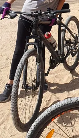 Java Mountain Bike (XL)