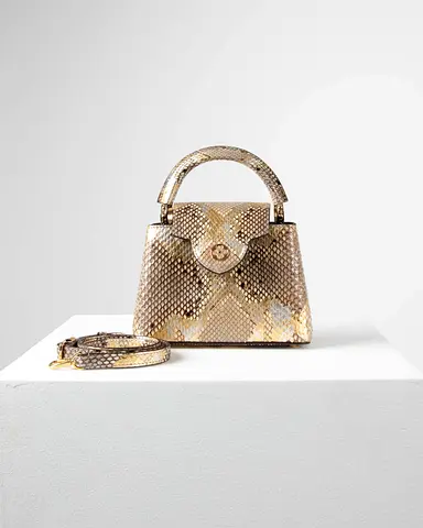 Authentic Louis Vuitton Capucine Bag