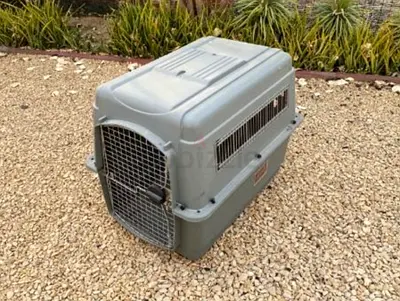 Dogs carriers for air travel