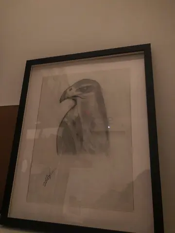 الرياض