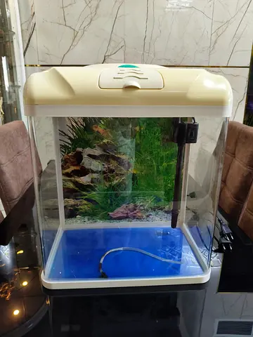 Small Complete Home Aquarium Tank with LED Hood and Filter