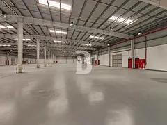 JAFZA Warehouse for Sale | 48,089 Sq Ft | Vacant