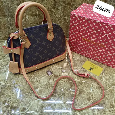Louis Vuitton Purse 👛