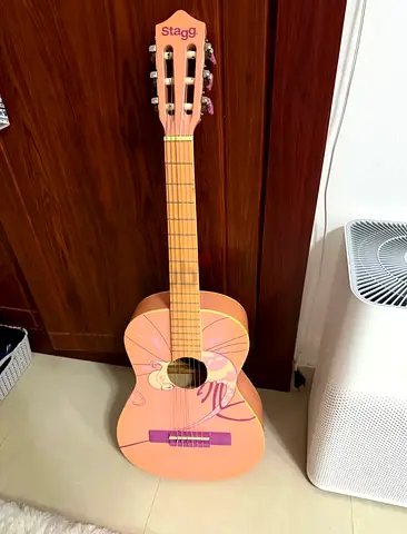 Pink Stagg Guitar
