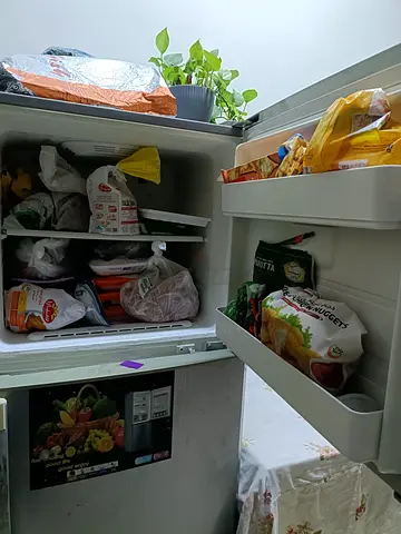 Used Two Door Refrigerator with Top Freezer