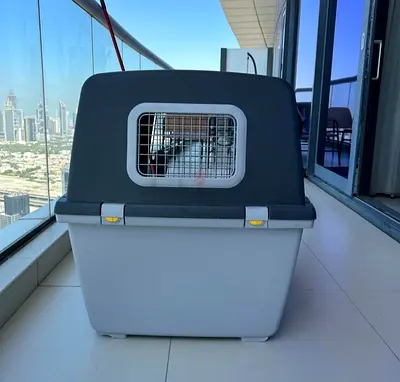 Dogs carriers for air travel