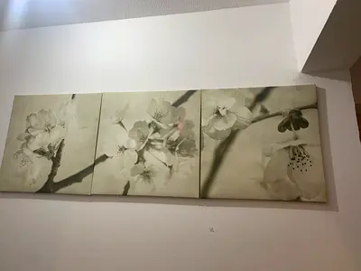 Set of 3 Floral Canvas Wall Art - Neutral Beige Triptych